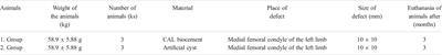 The Morphological, Clinical and Radiological Outputs of the Preclinical Study After Treatment of the Osteochondral Lesions in the Porcine Knee Model Using Implantation of Scaffold Based on the of Calcium Phosphate Biocement